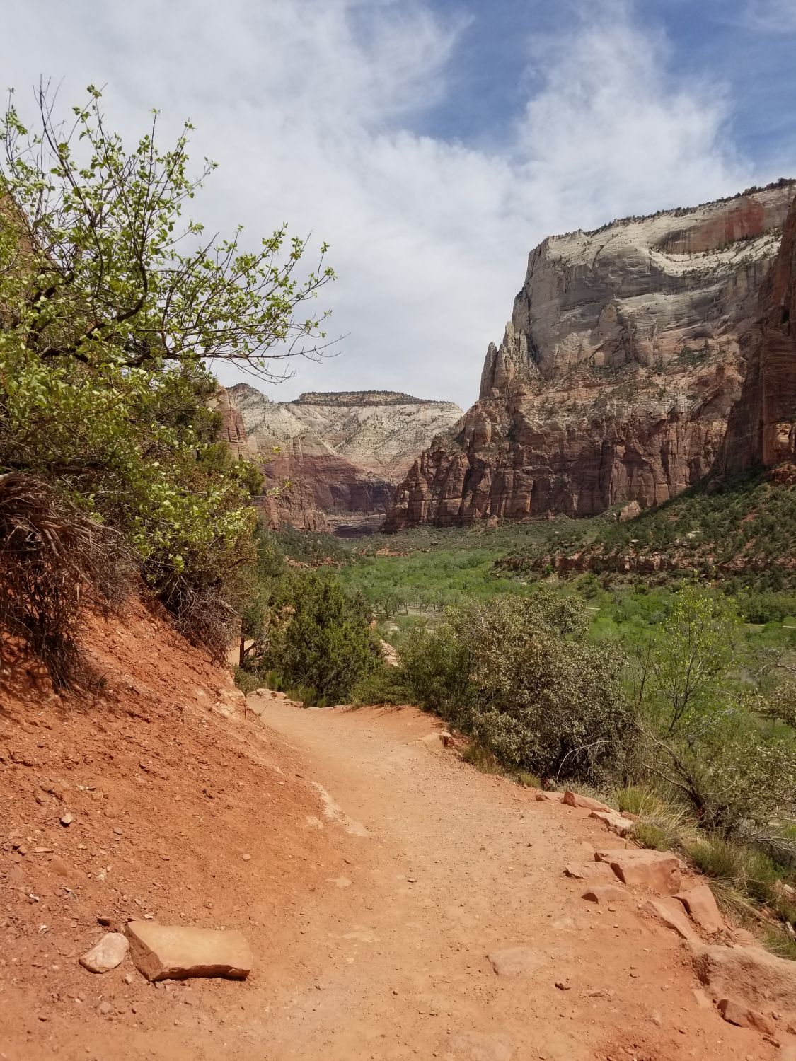 Emerald Pools Trails 